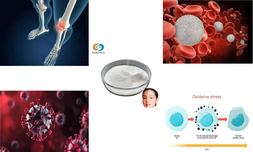 Does bromelain powder good for inflammation? Does bromelain powder good for inflammation?